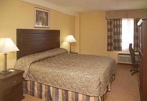 Comfort Inn Monterey Park - King Guest Room