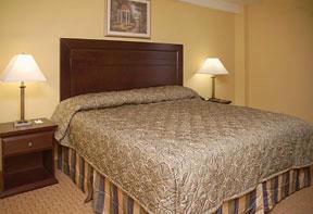 Comfort Inn Monterey Park - King Guest Room