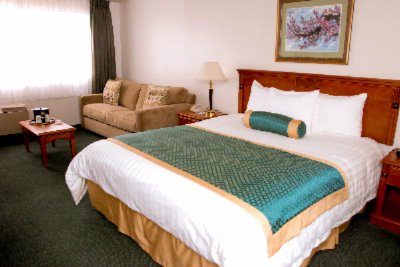 Best Western South Bay Hotel - Mini Suite Room W/. King-size Bed
