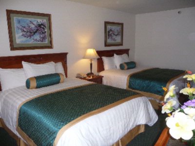 Best Western South Bay Hotel - Guest Room W/ 2 Queen-size Beds