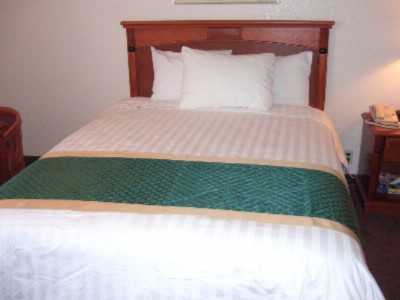 Best Western South Bay Hotel - Guest Room With King Size Bed