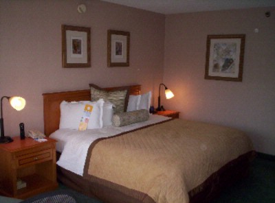 Anaheim Park Hotel - 