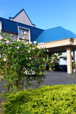 Sutton Suites & Extended Stays - Hotel Front 4