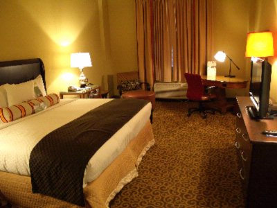 Doubletree Memphis Downtown - Downtown Memphis Hotel Guestroom 2