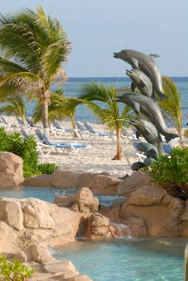 The Reef Resort - Pool Area
