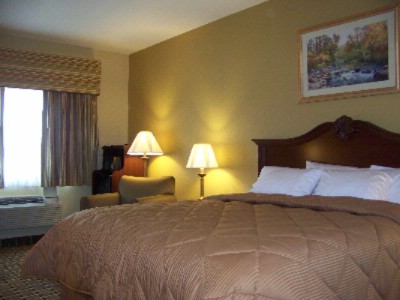 Comfort Inn - King Room