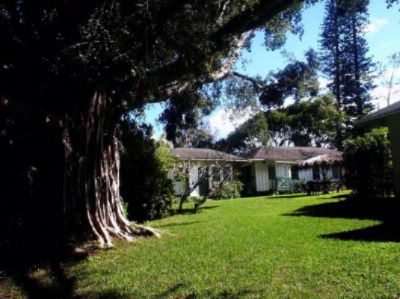Banyan Tree House - The Banyan Tree