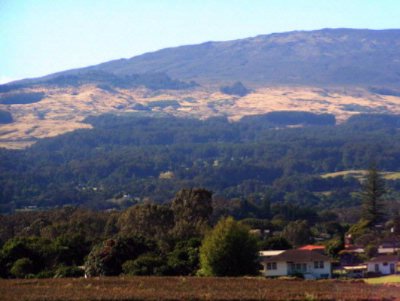 Banyan Tree House - View Of Haleakala