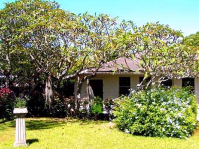 Banyan Tree House - The Palm Suite And The Plantation House