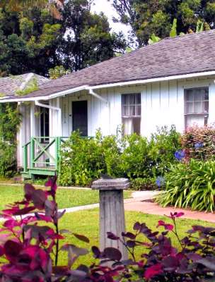 Banyan Tree House - Banyan Bed And Breakfast Cottages