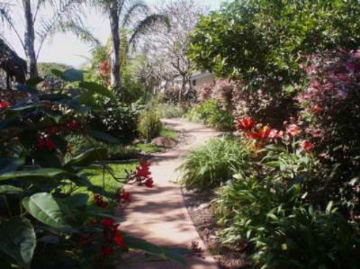 Banyan Tree House - Wheelchair Accessible Walkways