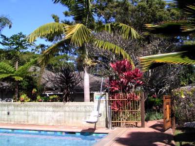 Banyan Tree House - Handicap Access To The Swimming Pool