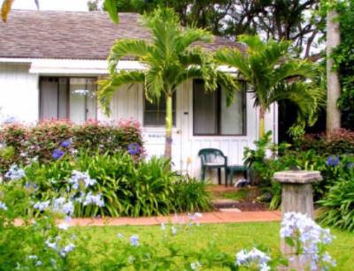 Banyan Tree House - The Hibiscus Cottage