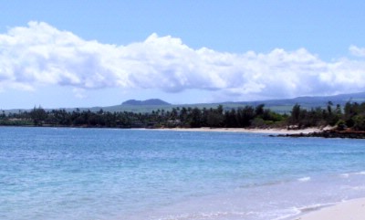 Banyan Tree House - The Beaches At Nearby Paia Town
