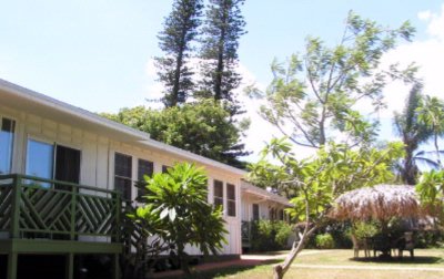 Banyan Tree House - The Ginger Cottage