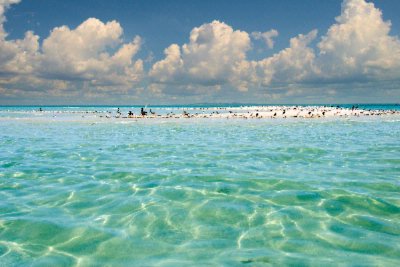 Shorewalk Vacation Villas - Crystal Clear Gulf Of Mexico Waters