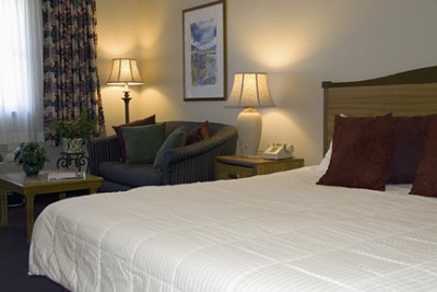 Lamplighter Inn & Suites Convention Center - King Leisure Suite