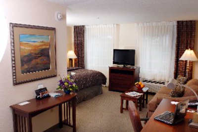 Staybridge Suites - Standard Studio Suite