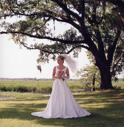 Litchfield Plantation - 