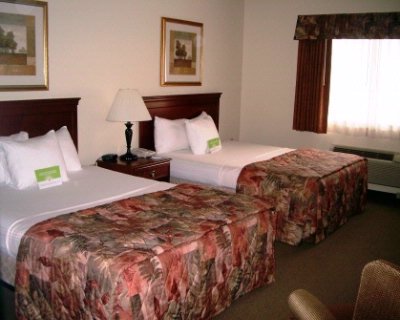 Suite With 1 King Bed