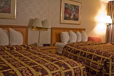 Quality Inn - 