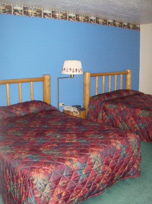 Teton Mountain View Lodge - Double Room