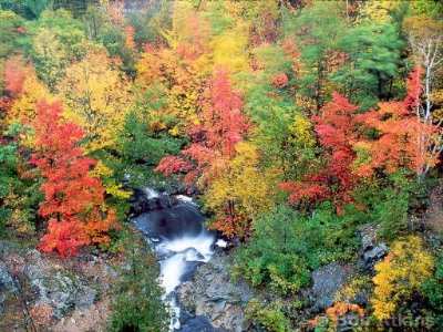 Crowne Plaza Nashua - Autumn Foliage