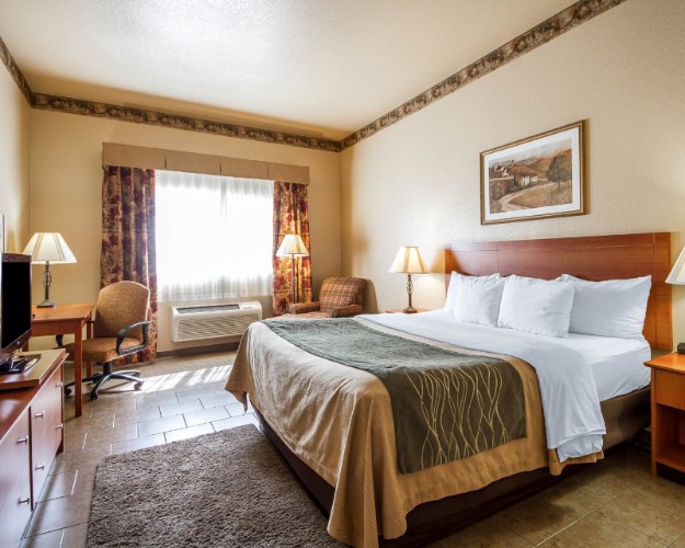 Comfort Inn & Suites - 