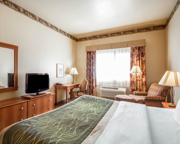 Comfort Inn & Suites - 