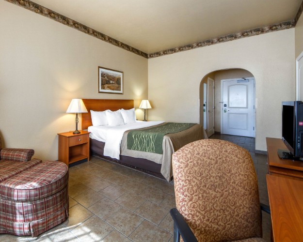 Comfort Inn & Suites - 