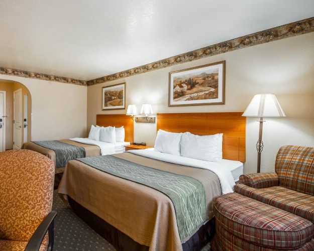 Comfort Inn & Suites - 