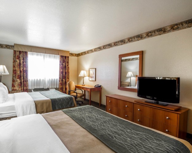 Comfort Inn & Suites - 