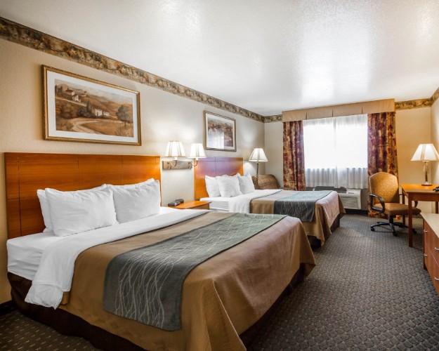 Comfort Inn & Suites - 