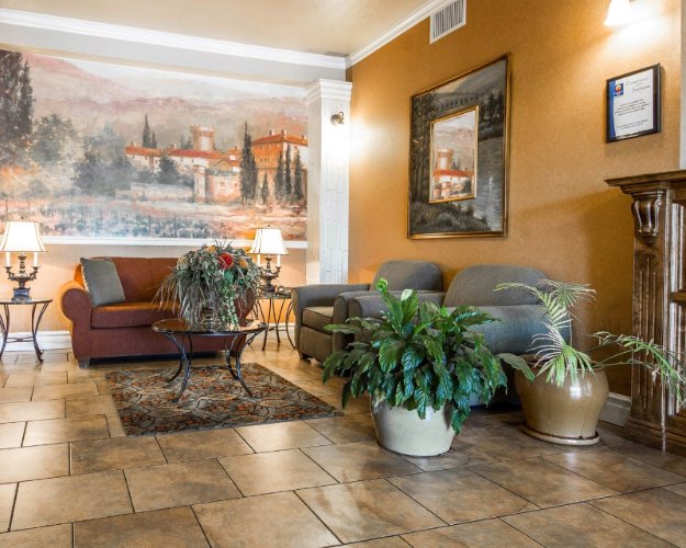 Comfort Inn & Suites - 