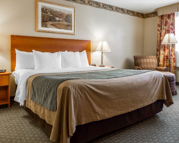 Comfort Inn & Suites - 