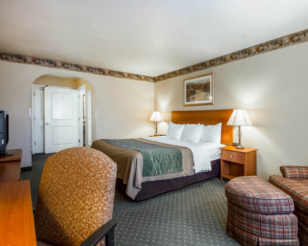 Comfort Inn & Suites - 