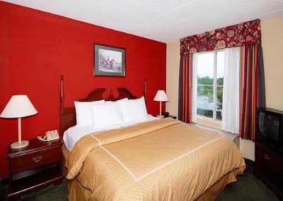 Comfort Suites Concord - Spacious King Size Suites
