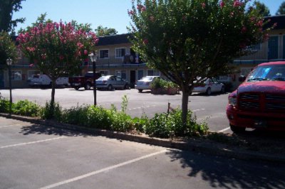 Vagabond Inn - 