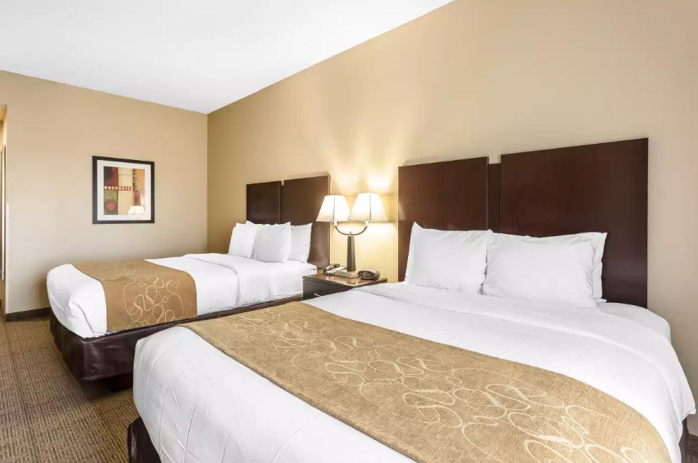 Comfort Suites West of The Ashley - 