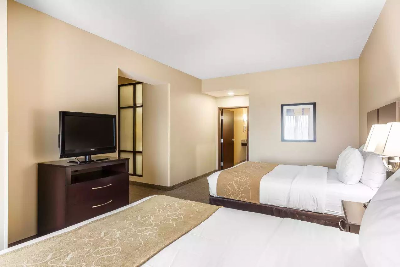 Comfort Suites West of The Ashley - 