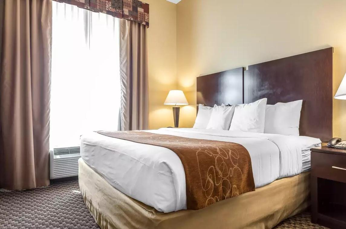 Comfort Suites West of The Ashley - 