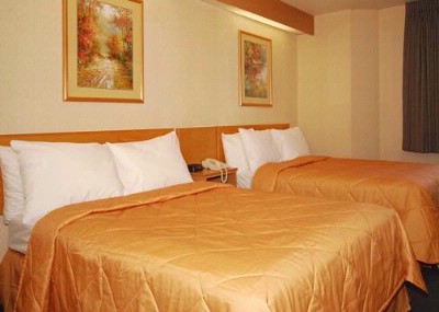 Sleep Inn - Room With Two Beds