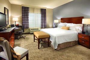 Hampton Inn Carlsbad - King Guest Room