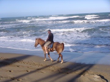 Barefoot Beach Pad - Horseback On The Beach
