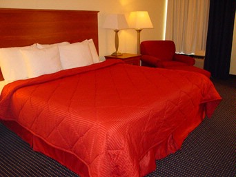 Comfort Inn Executive Park - King Room