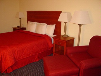 Comfort Inn Executive Park - King Room
