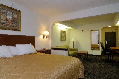 Comfort Inn & Suites - 