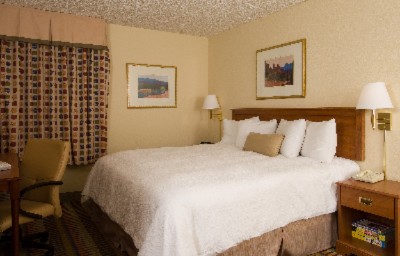 Our New King Bed Rooms
