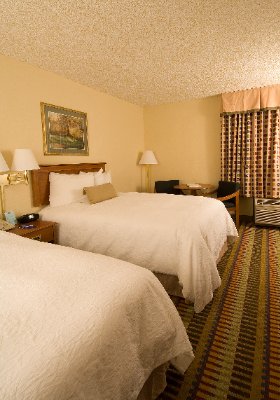 Our New Double Double Rooms