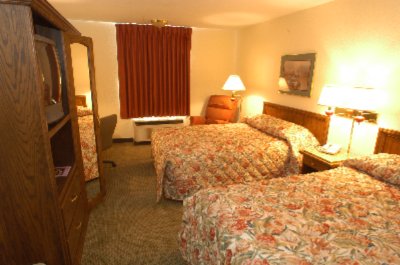 Quality Inn & Suites - Double Bedroom